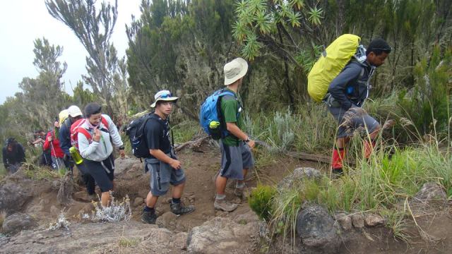 Kilimanjaro climbing cost