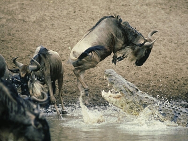 When to go to Ngorongoro Crater