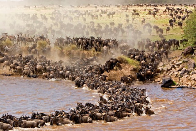 When to go to the Serengeti national park