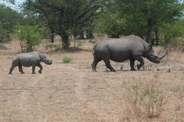 Visit Tanzania