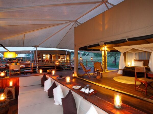 6 Days Luxury Safari